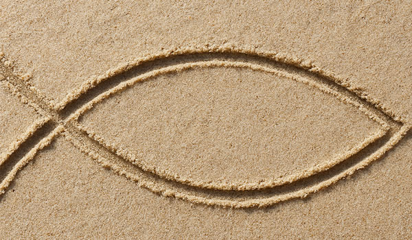 La Señal Secreta en la Arena y el Poder de la Identidad